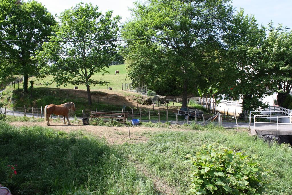 Location Eyheraldia - Votre T3 Au Coeur Du Pays Basque Hasparren Habitación foto